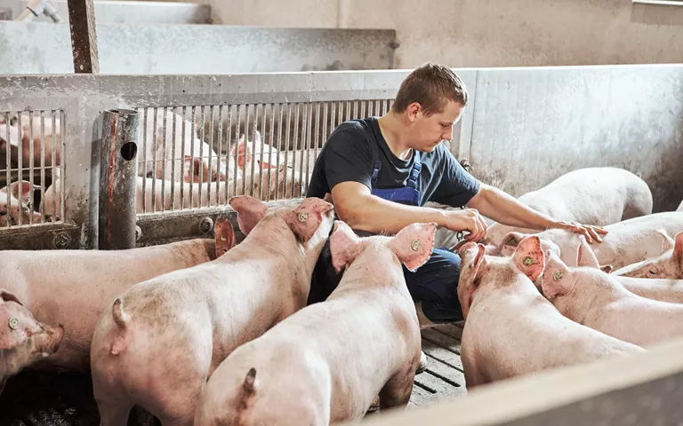 10755 Danepork Kiddegård 015